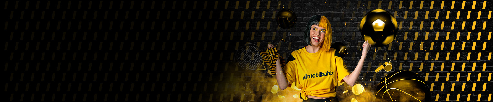 Promotional banner